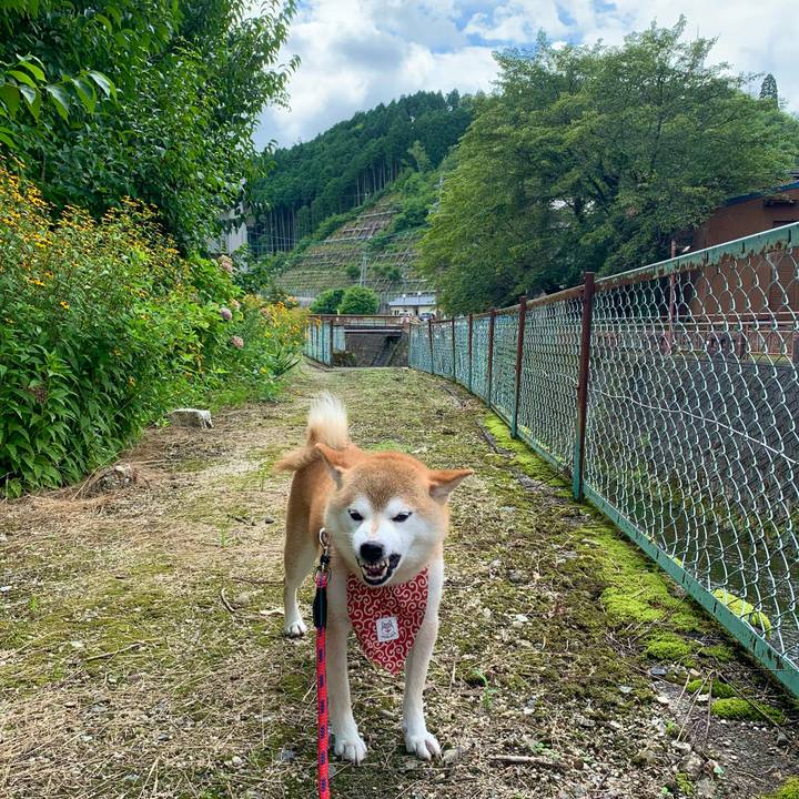 Ca887eff 3742 4c0c bd14 f69b9c9d9986 1659781003905