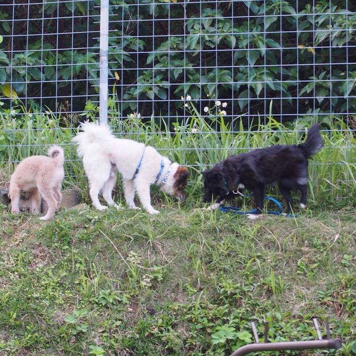 Ca888506 0f3d 4230 961b 5251054e2acb 1520836431949