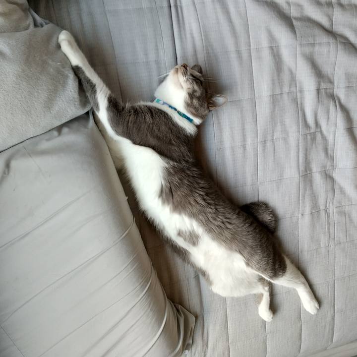 Ca888bed c0f2 4415 a363 93fa2184f9fd 1622355510329