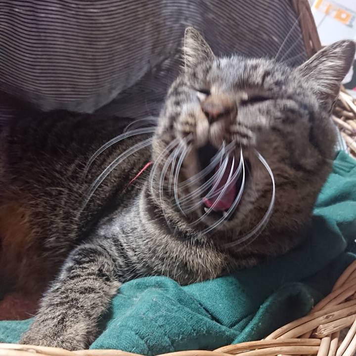 Ca88a4fc 8bc8 4288 887a 122ae7bb42dd 1642857975289