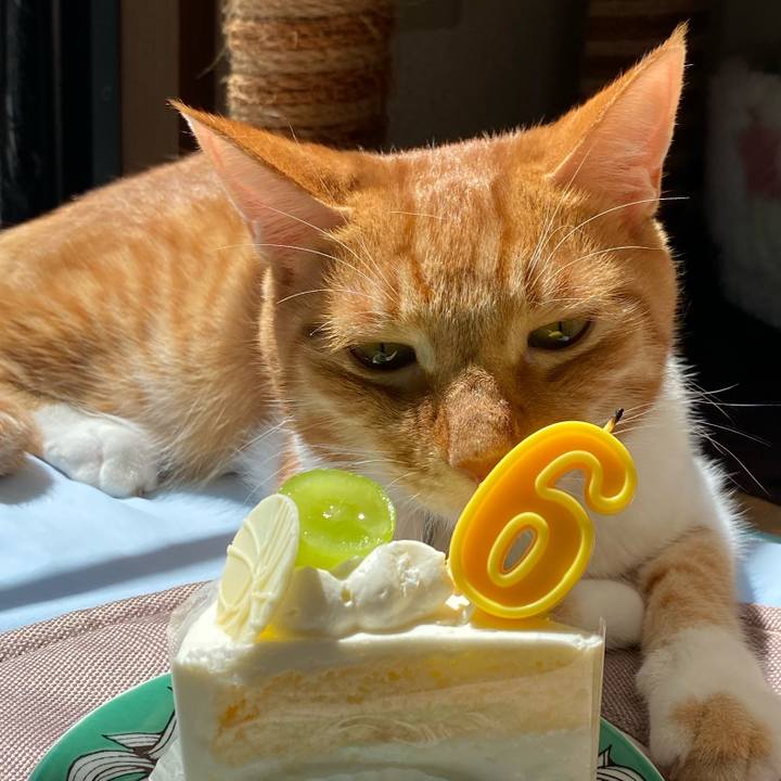 Ca88da03 9924 4db3 a2d2 2c2e0976cf2d 1662804182774