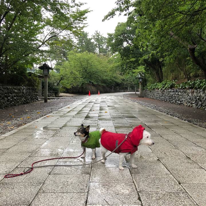 Ca88f8a7 584b 4e06 80ca dc2582c48281 1567120244858