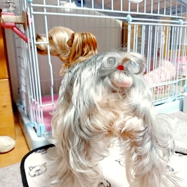 Ca890184 f939 40b0 b21c 19d5758723ed 1547552065107