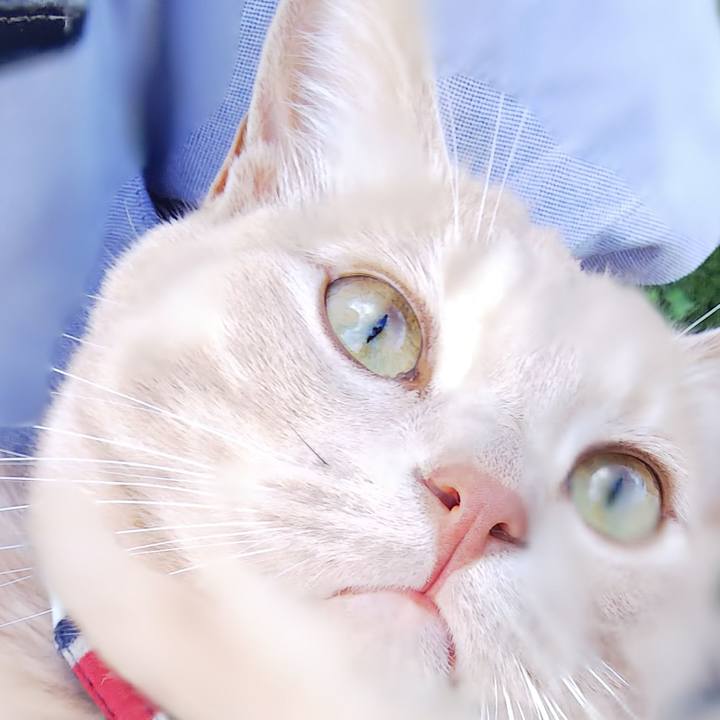 Ca892041 163a 46d5 bf21 c6ad52f4cdee 1566727315917