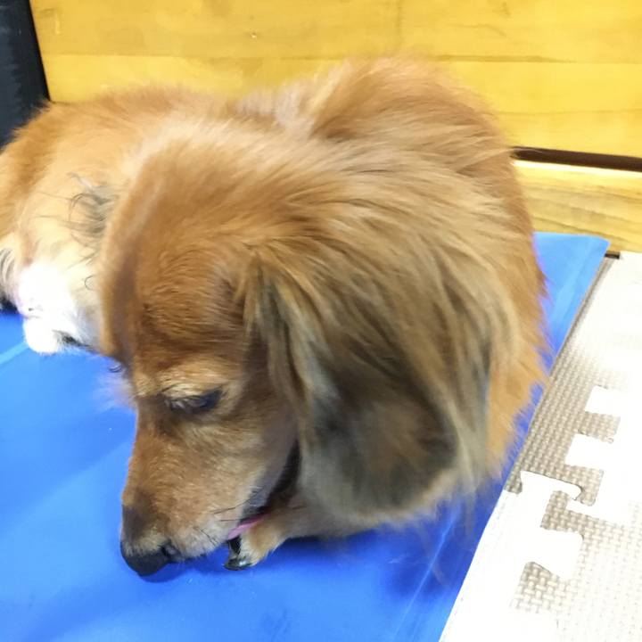 Ca892bde 3894 45e5 92ae bfba97009722 1570453604485