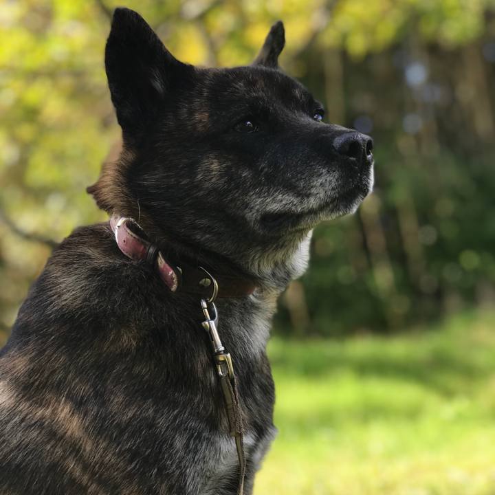 Ca894435 9711 4781 9824 c221ad199cf2 1572233773932