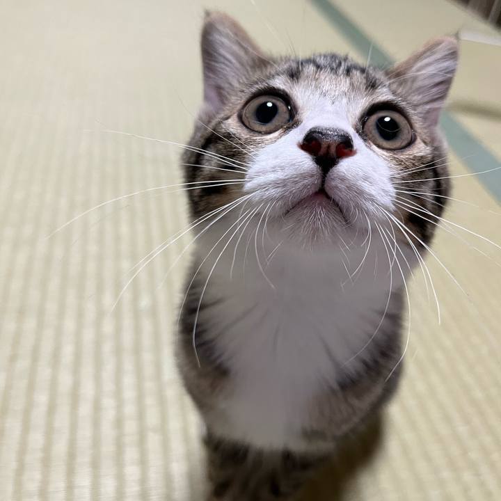 Ca8948ce dea2 4595 bcdb eeb49446856d 1691052894220