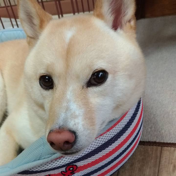 Ca894d7b 58ea 4235 a973 a70268a59897 1567211202682