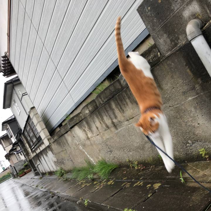 Ca8956b1 5e19 4802 bf28 80e34362eb6b 1561859041492