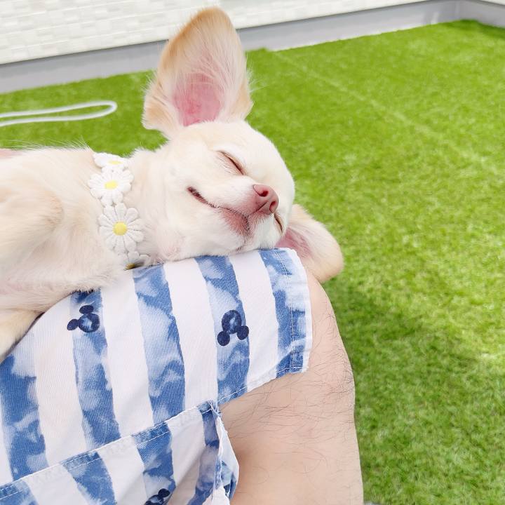 Ca8973cd 9f81 4a15 89ab 99518fcade23 1685164551771