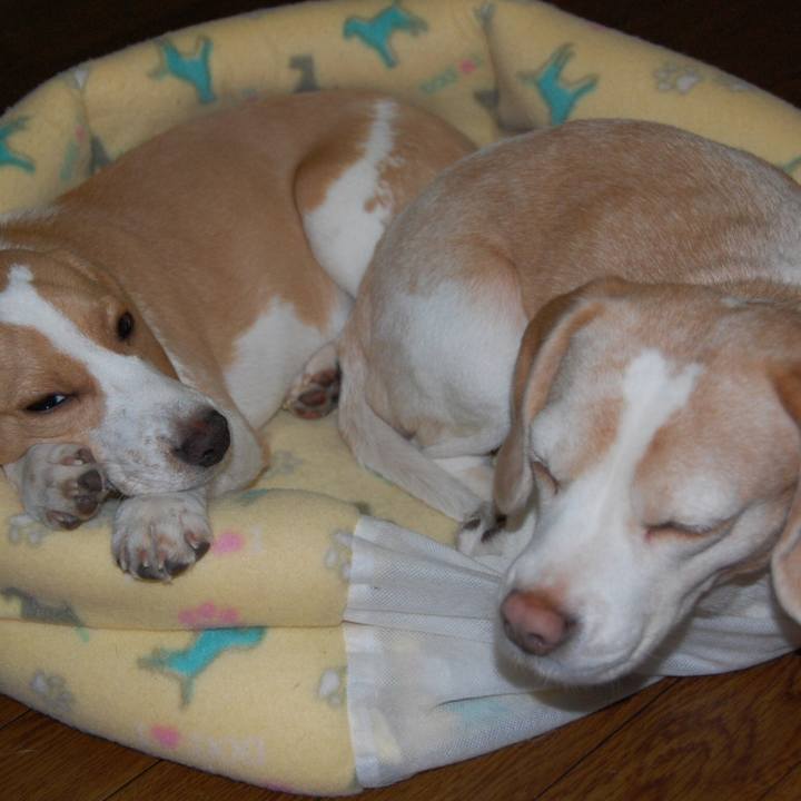 Ca899fc7 0920 4816 bc4e 20ce728dcf1f 1550128018600