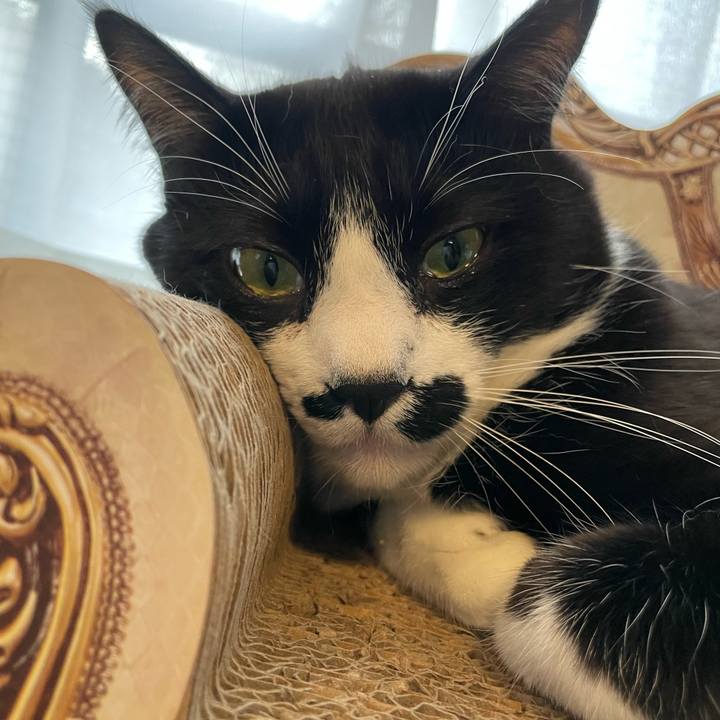 Ca89b0c1 bb05 469d ab53 177f2aaa0835 1677968647034