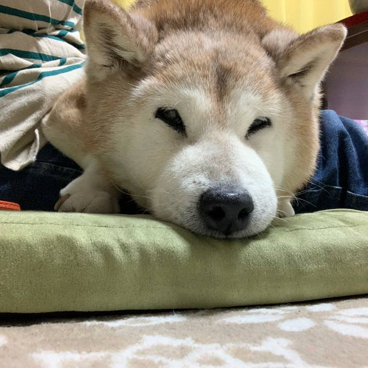 Ca89b2ce ab2a 4484 ad92 649dbb49ee68 1698662855859