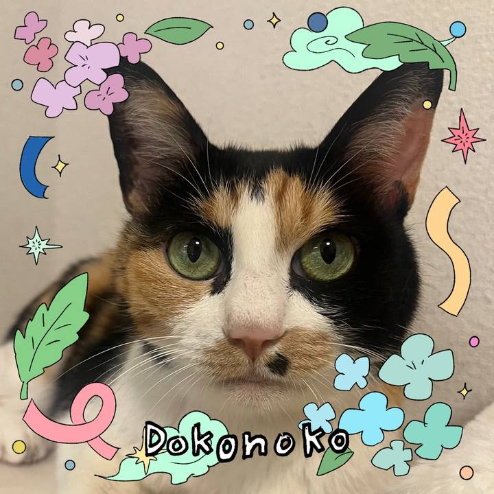 Ca89e14d b215 4f8d 87b5 836c2030213f 1717576625862