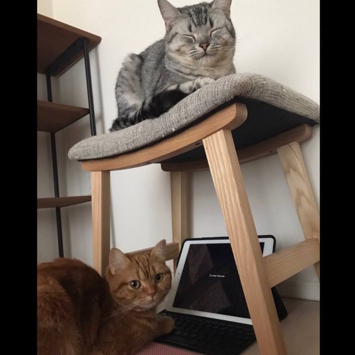 Ca89f6d4 fcd0 4dcb 9a2e d4945b8513d3 1516530184206