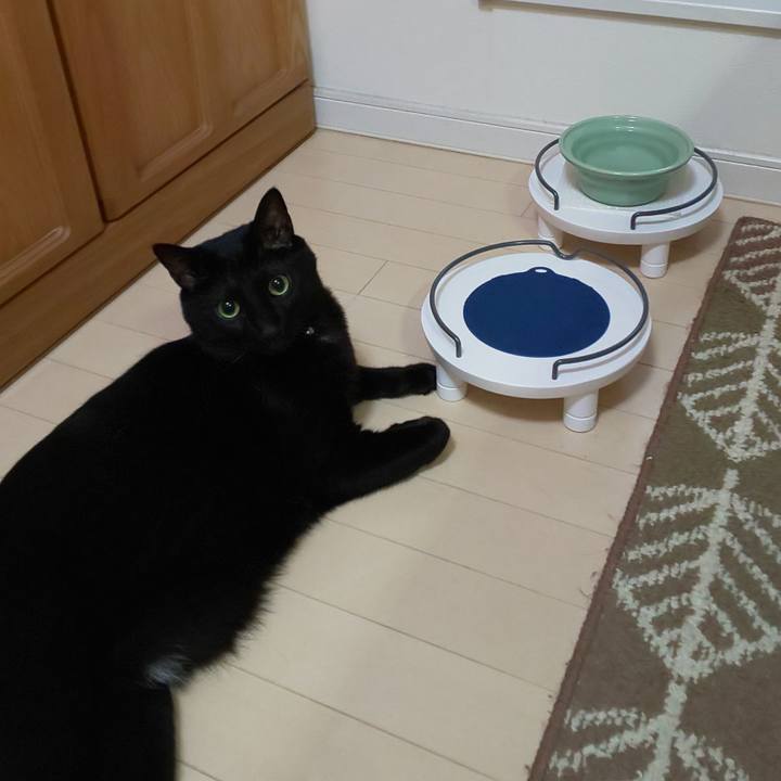 Ca8a02ef d073 45a7 8843 1beb6160fd97 1569588795389