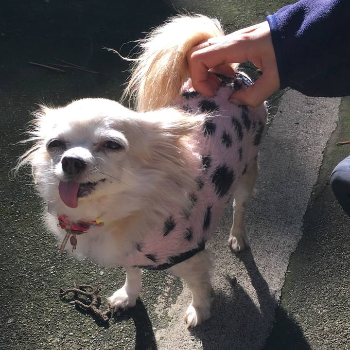 Ca8a08c1 4cd5 44cf 903b be880fb47519 1510401290303