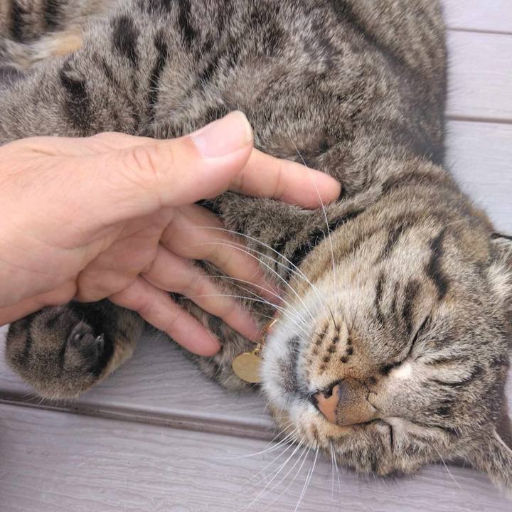 Ca8a0c22 07d9 40fb bbf5 4fd74bc8055a 1713829452083