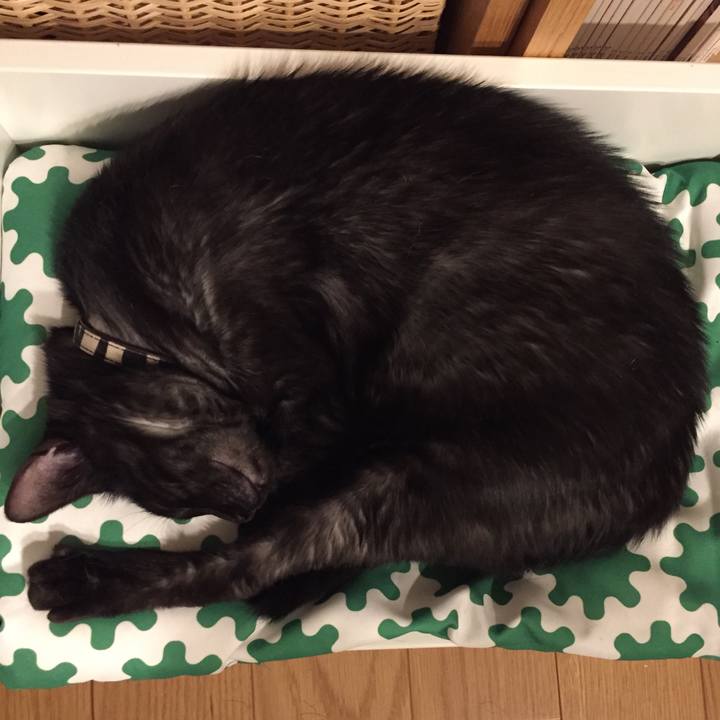 Ca8a3856 4585 4e46 a5f2 3ee3723766fd 1531009534349