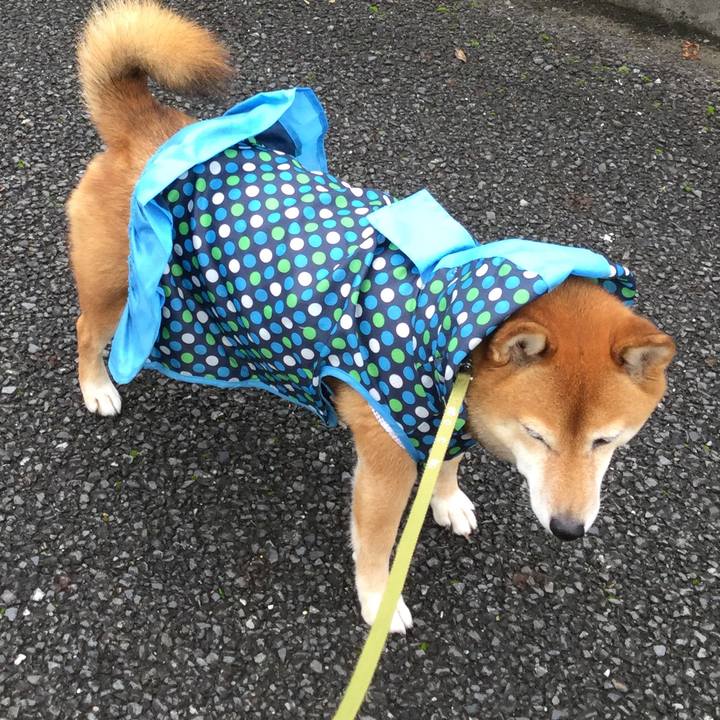 Ca8a5ec8 cd42 4565 9f09 33fee2106ebd 1563761257656