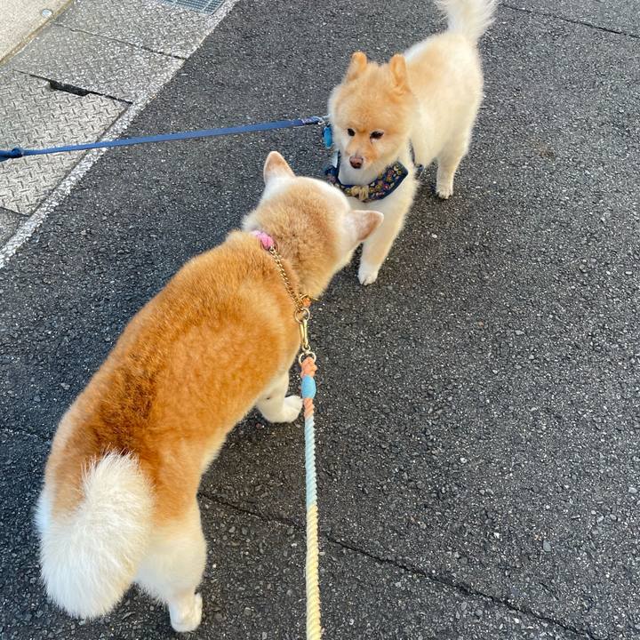 Ca8a7005 6278 4eb9 82f5 2d1bb635fecc 1691151927961