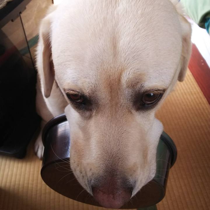 Ca8ab9dd dc09 4c99 8b30 958b6a77c935 1570670419266