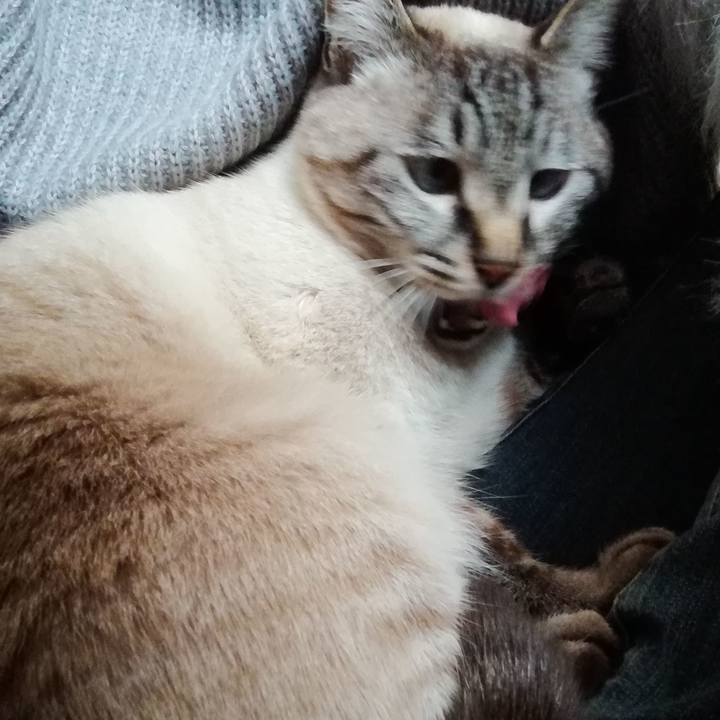 Ca8aee54 dddb 4346 90b7 5003877b957f 1550377625724