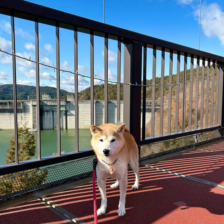 Ca8b04c3 f700 458a 9483 98d88e6e1518 1735213273819