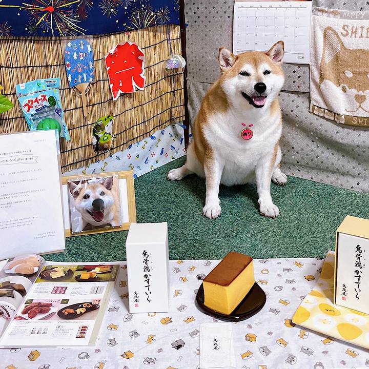 Ca8b1390 22f7 42af 9248 fea325416c01 1692686241621