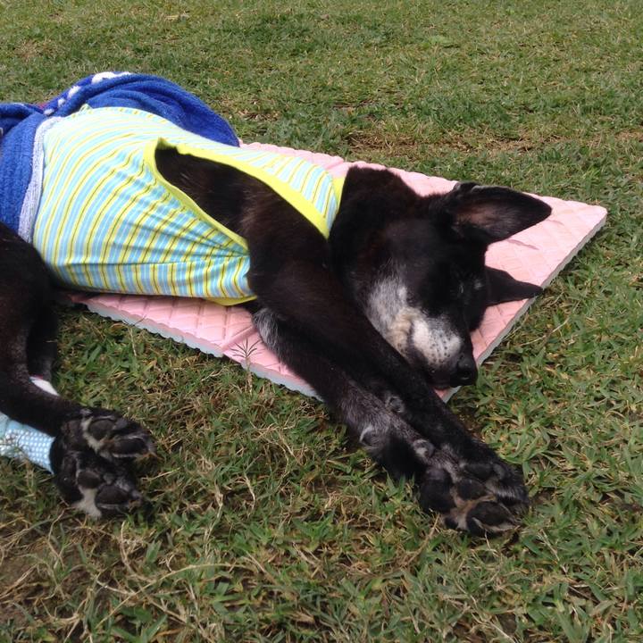 Ca8b651e 4177 4519 aa2c 980f1e519769 1516264329950