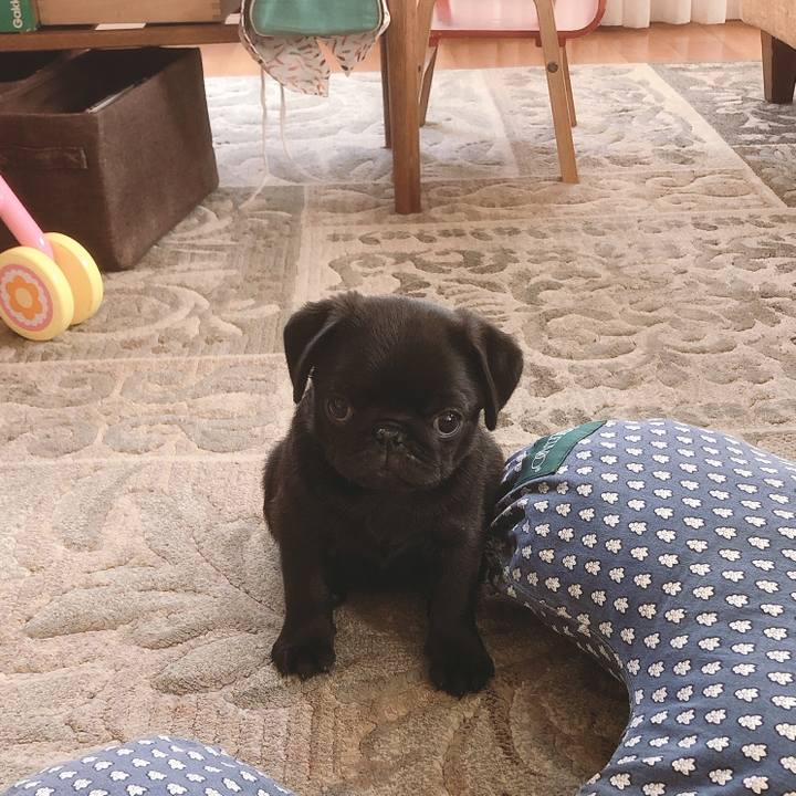 Ca8b75a1 849a 4245 bfec 740df53365cb 1586924481506