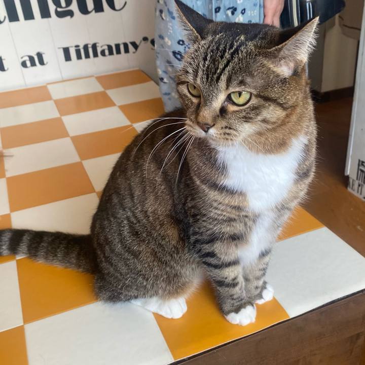 Ca8b9548 fe0b 40b6 9e64 353388987fb1 1711772106257