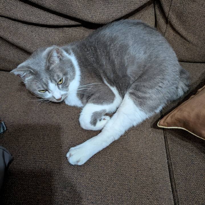 Ca8ba6c9 967d 47b7 a615 65bb461bba07 1733150342934