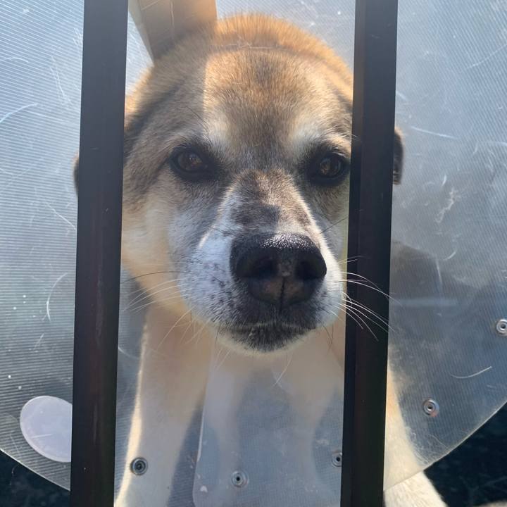 Ca8bad1b 7e2d 4f00 9673 0a7d6a09682c 1626844563963