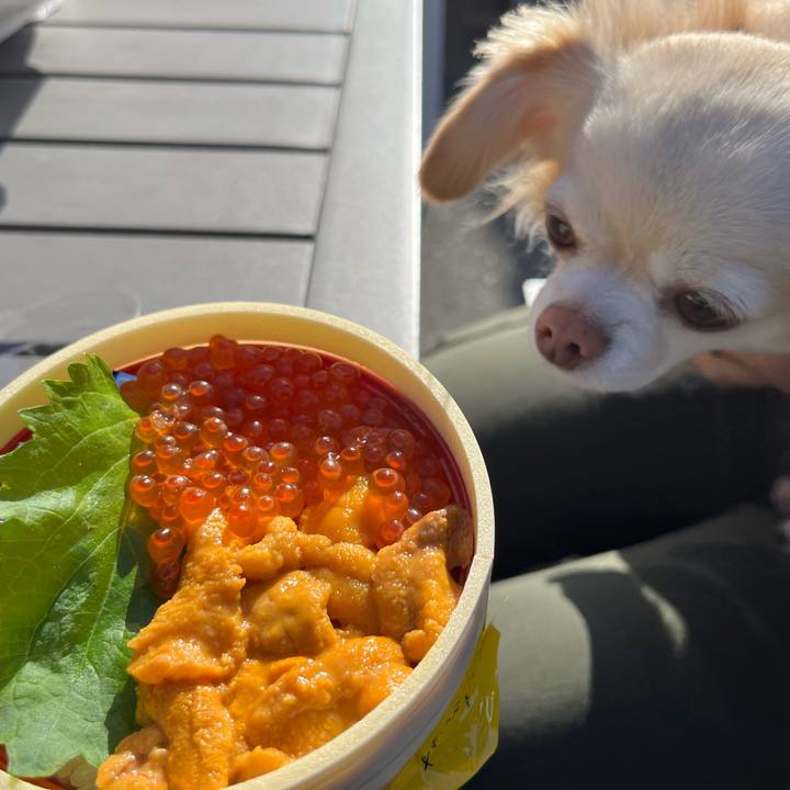 Ca8bd571 5a49 469a 9815 b7f4290fe6ca 1735869321772