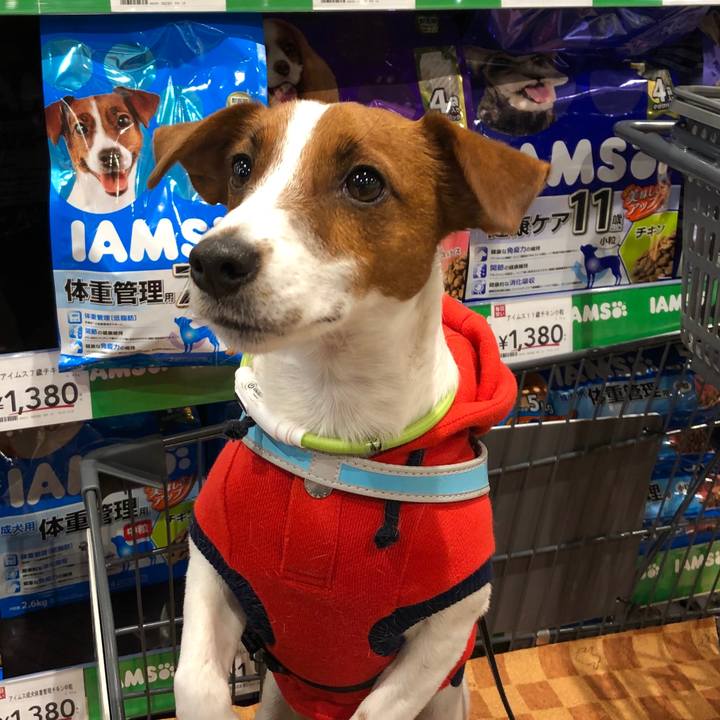 Ca8bdd43 30b2 43d7 9a9d fd0722b3d7dd 1545209916642