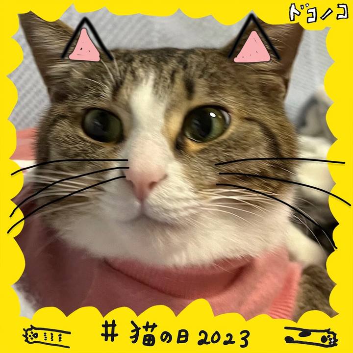 Ca8be9b3 db92 4955 baab f80d6f531b62 1676995781021