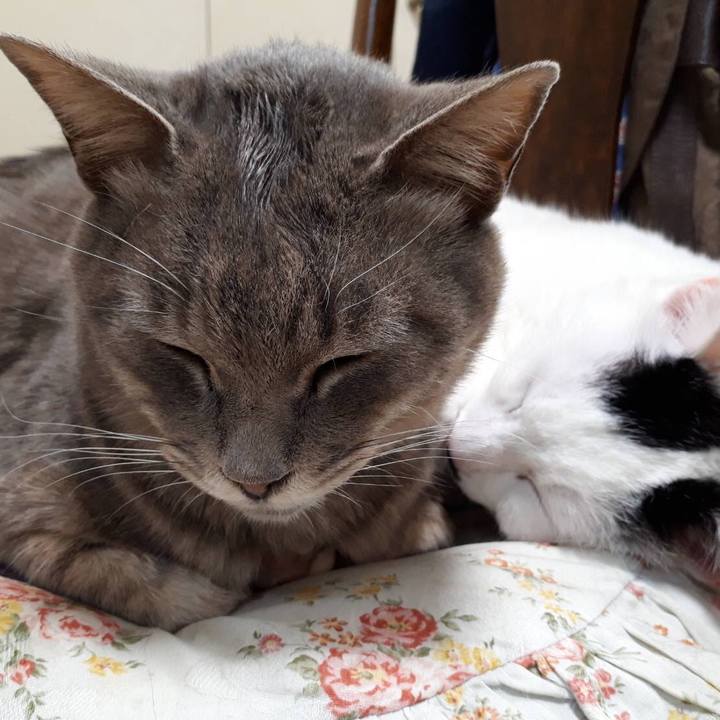 Ca8bf437 66d9 469b 85a0 d592b5a45923 1567865696168