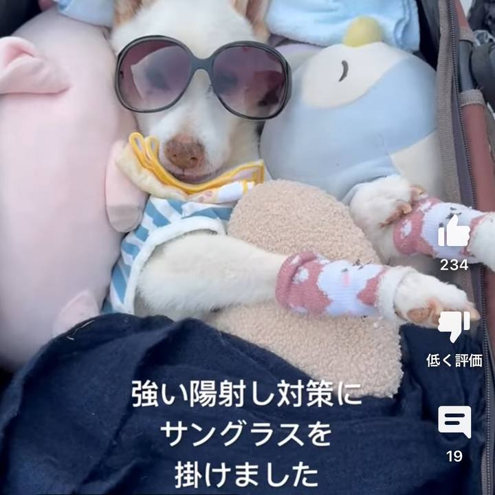 Ca8c04a0 d95f 4708 ae57 f4ce09125af5 1710679191086