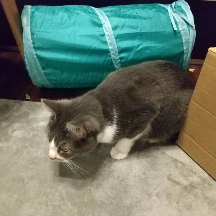 Ca8c2a9d c9cc 41aa af1c 31d6e4e6ce1b 1602687369704