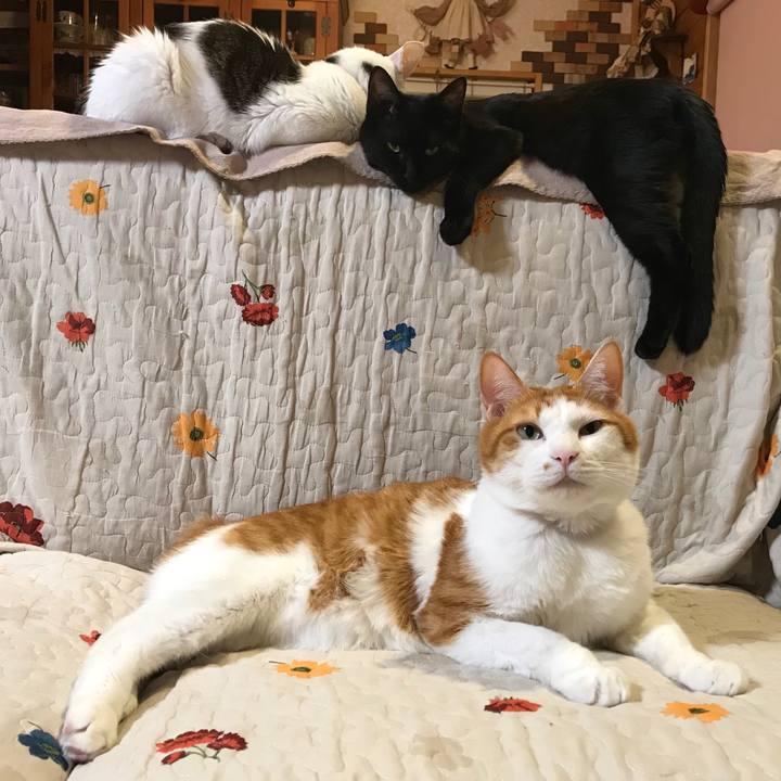 Ca8c2dbf 5c83 43b1 ad84 a46e1471c32e 1573221796257