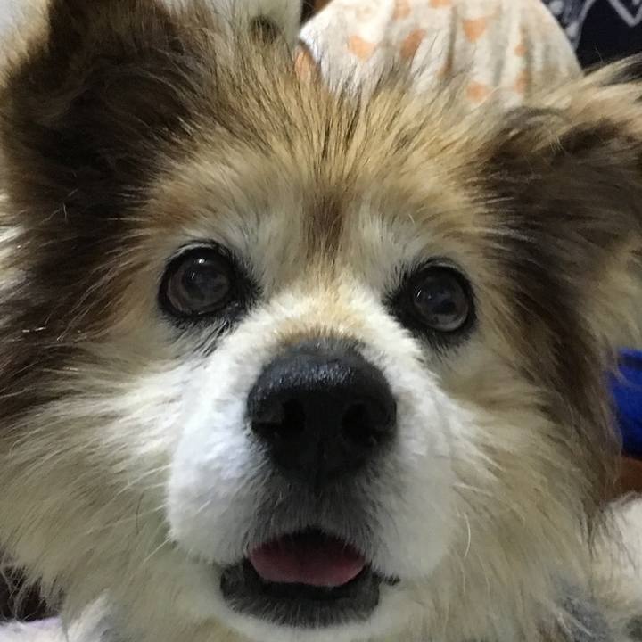 Ca8c3347 e7f9 448d 8daf e1a68d3c8b81 1602991604373