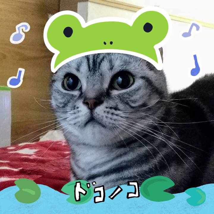 Ca8c3b0b 37a9 48ac 936f c62163541584 1717896539854