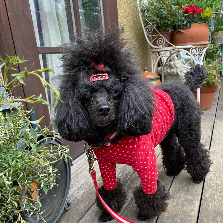 Ca8c54b1 dc50 490a 9def f50f5d61c8a2 1650530591970