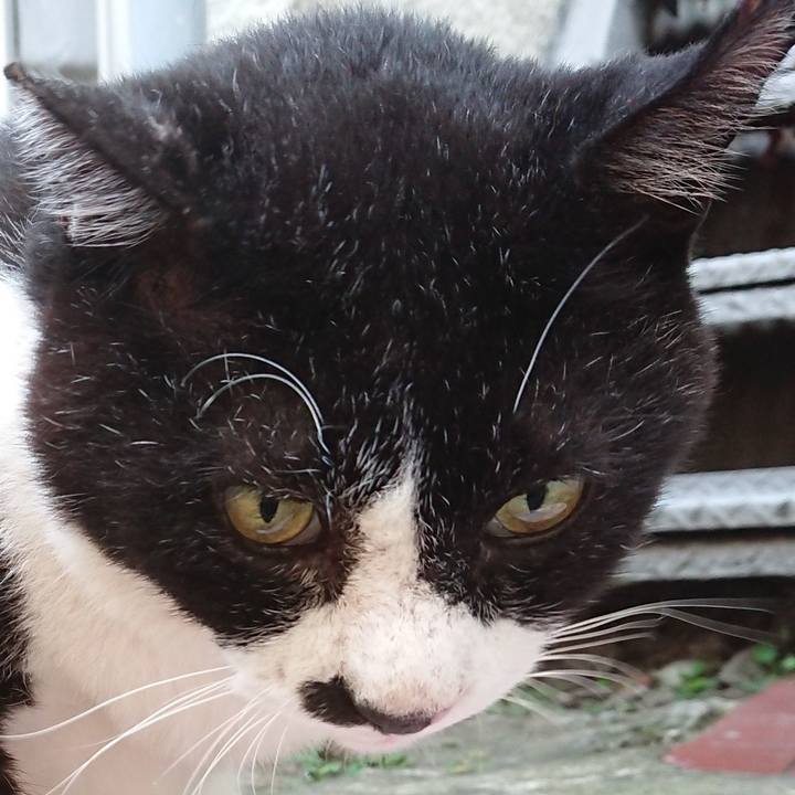 Ca8c8425 93a0 4e29 858d 38e15e5486bb 1596888435402