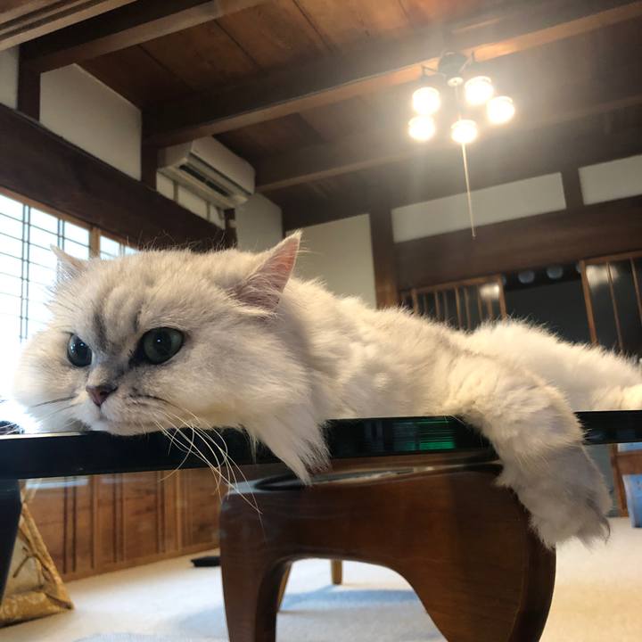 Ca8c864f a7a2 4f4c 9bec 5ef8d578406a 1564790426889