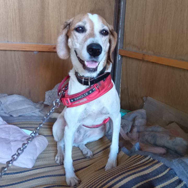 Ca8cb91a 186d 479b 8489 fb13275df5a3 1727349607342