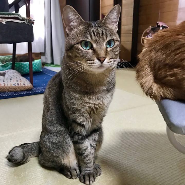 Ca8ce0b8 07cd 4e77 80ef 070f9e6cdee9 1558928286710