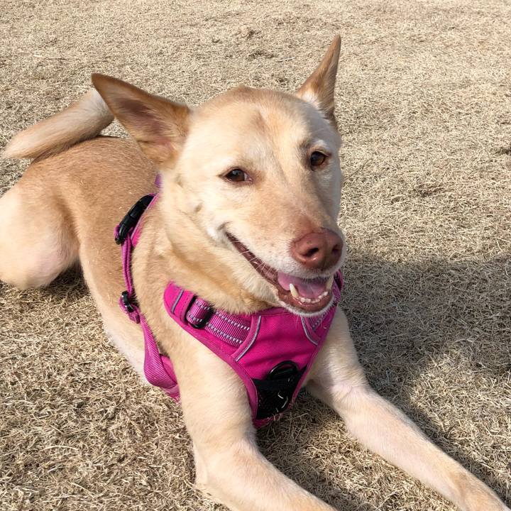 Ca8cf998 690b 471c ad8b a3b6e88bbe1a 1707367676415