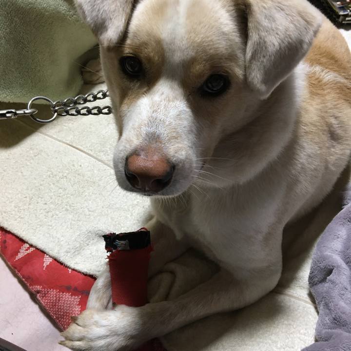 Ca8d533e d07b 4e59 8c8c 20d3b0b3e704 1514371339811